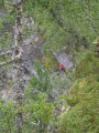 Steinuglefloget